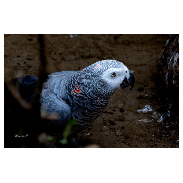 PHOTO84, CLUB, 84 , LUBERON